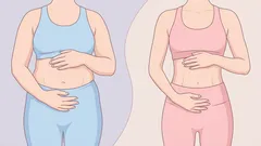 Warum der Bird Dog so effektiv ist: Rumpfstabilität trainieren ohne die Wirbelsäule zu belasten